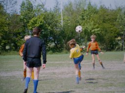 0DIA 1984 RAVA PUPS 1
